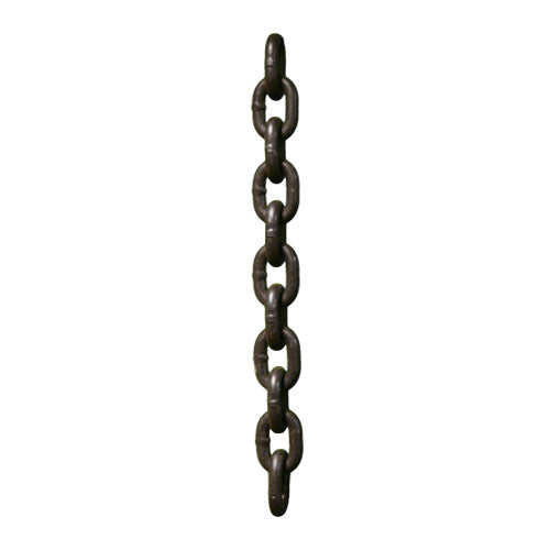 G100 Chain By The Foot